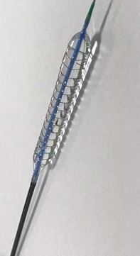 Nitinol PTA blöðruhola